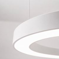 Immax NEO PASTEL SLIM Smart Szabályozható csillár 95x7cm, 68W féher Zigbee 3.0 (10)