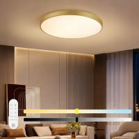 Immax NEO LITE SEMPLICI Inteligentné stropné svietidlo Tuya WiFi BEACON, 80 cm 96 W 6912 lm, zlaté (17)