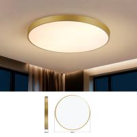 Immax NEO LITE SEMPLICI Inteligentna lampa sufitowa Tuya WiFi BEACON, 80 cm 96 W 6912 lm, złota (8)