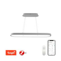 Immax NEO HIPODROMO Smart Szabályozható csillár 120x30cm, 42W féher Zigbee 3.0 (15)