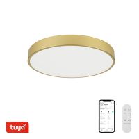 Immax NEO LITE SEMPLICI Smart strop svítidlo zlaté 60cm 60W 4500 lm Tuya WiFi  BEACON Gold (1)