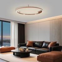 Immax NEO FINO stropní (nástěnné)svítidlo 80cm 55W 4285lm Tuya Zigbee 3,0 s DO měděné (16)
