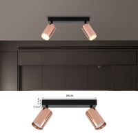 Immax PUNTO-2 stropní nástěnné bodové svítidlo 2 hlavy GU10, měděné