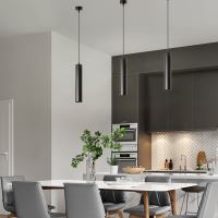 Immax PUNTO-Z1  stropní závěsné bodové svítidlo černé GU10