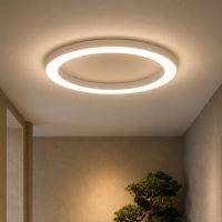 Immax NEO Pastel SLIM Smart lampa sufitowa 95x7cm, 68W biala Zigbee 3.0 (8)