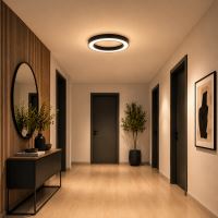 Immax NEO PASTEL SLIM Smart stropné svietidlo, 60x7cm, 53W, čierne Zigbee 3.0 (2)