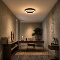 Immax NEO PASTEL SLIM Smart stropné svietidlo, 60x7cm, 53W, čierne Zigbee 3.0 (5)