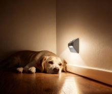 Immax STEP LIGHT bezdrôtové schodiskové svietidlo, PIR senzor, strieborné (1)