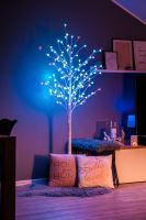 Immax NEO LITE Inteligentna choinka LED, zewnętrzna, 180cm, RGB+CW, WiFi, TUYA - II. jakość (17)