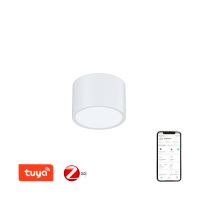 Zigbee3.0 Power EU US UK Smart Plug Socket Remote Control Work with Philips  Hue Alexa Tuya Smart Life Smartthings Home Assistant